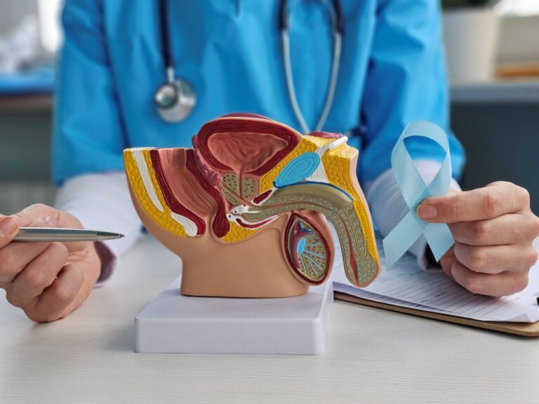 Urologista mostra o réplica do sistema urinário masculino para orientar pacientes sobre um comparativo de tratamentos para câncer de próstata, incluindo cirurgia robótica, radioterapia e terapias focais.